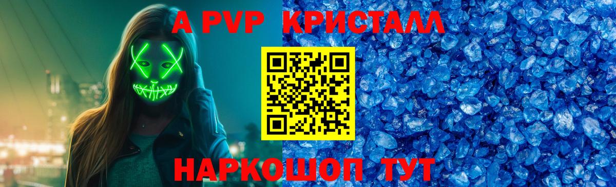 Альфа ПВП СК Ярославль